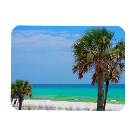 VS, Florida. palmbomen op de maragingkust Magneet (Horizontaal)