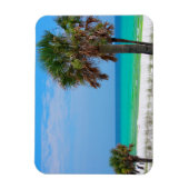 VS, Florida. palmbomen op de maragingkust Magneet (Verticaal)