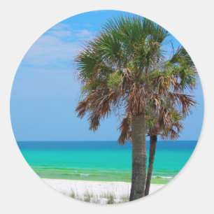 VS, Florida. Palmbomen op de Smaragdkust Ronde Sticker