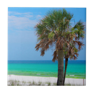 VS, Florida. Palmbomen op de Smaragdkust Tegeltje