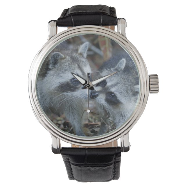 VS, Florida, Sanibel, Ding Darling National Horloge (Voorkant)