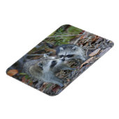 VS, Florida, Sanibel, Ding Darling National Magneet (Linkerzijde)