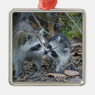 VS, Florida, Sanibel, Ding Darling National Metalen Ornament