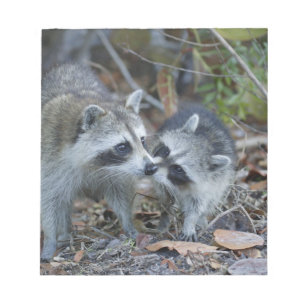 VS, Florida, Sanibel, Ding Darling National Notitieblok