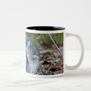 VS, Florida, Sanibel, Ding Darling National Tweekleurige Koffiemok