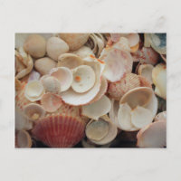 VS, Florida. Sluiting van de schelpen op Santa Ros