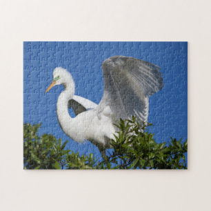 VS, Florida, St. Augustine, Egret Legpuzzel