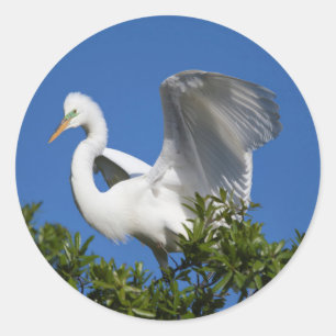 VS, Florida, St. Augustine, Egret Ronde Sticker