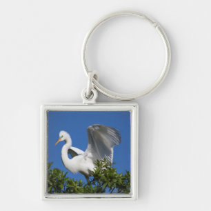VS, Florida, St. Augustine, Zilverreiger Sleutelhanger
