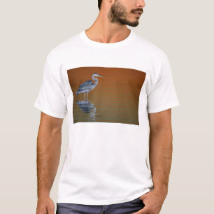 VS, Florida, St. Petersburg, Fort De Soto 2 T-shirt