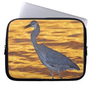 VS, Florida, St. Petersburg, Fort De Soto Park. Laptop Sleeve
