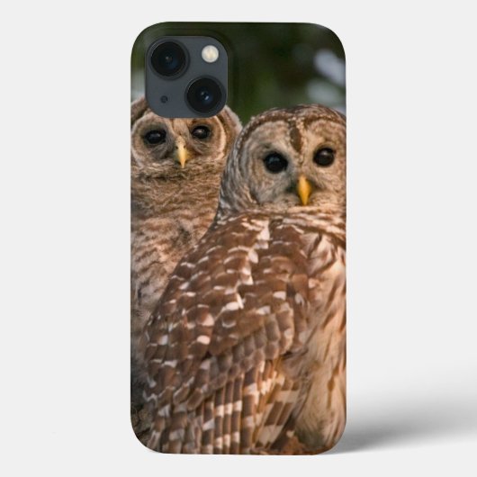 VS, Florida, Viera Wetlands. Drie gebaarde Case-Mate iPhone Case (Achterkant)
