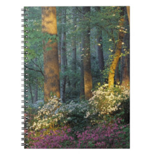 VS, Georgia, Callaway Gardens, Azaleastruik. Notitieboek