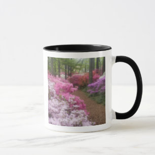 VS; Georgia; Pine Mountain. Azalea's bij 2 Mok