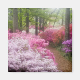 VS; Georgia; Pine Mountain. Azalea's bij Magneet