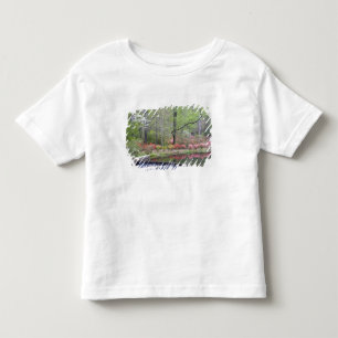VS, Georgia, Pine Mountain. Een kleine waterval Kinder Shirts