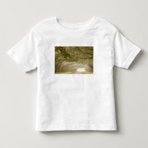 VS, Georgia, Savannah, Een met eiken omzoomde opri Kinder Shirts