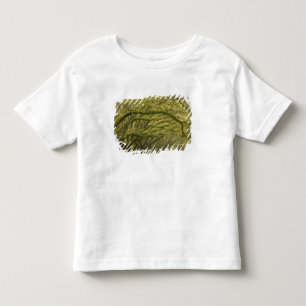 VS; Georgia; Savannah. Eikenbomen met Kinder Shirts