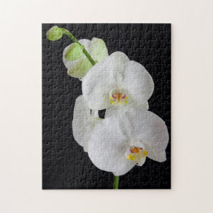 VS, Georgia, Savannah, groep orchideeën Legpuzzel