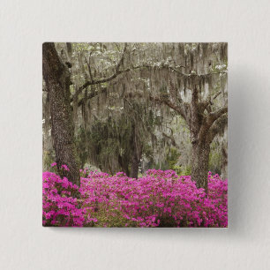 VS, Georgia, Savannah, Lente bij Historic Vierkante Button 5,1 Cm