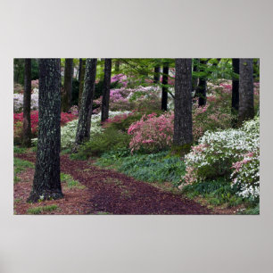 VS, Georgië, Callaway Gardens. route Poster