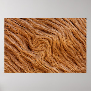 VS, Georgië, Jekyll Island, Abstract Poster