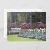 VS, Georgië, Pine Mountain. Een grens van Briefkaart (Voorkant / Achterkant)