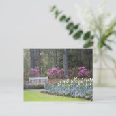 VS, Georgië, Pine Mountain. Een grens van Briefkaart (Staand voorkant)