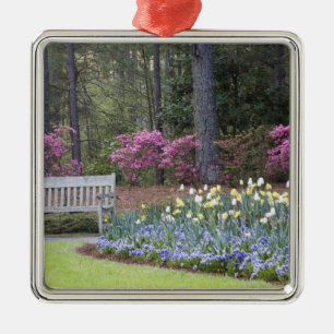 VS, Georgië, Pine Mountain. Een grens van Metalen Ornament