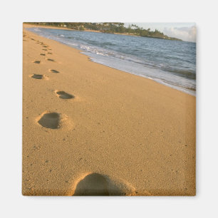 VS, Hawaï, Kauai, Kapa'a, aan het strand. Magneet