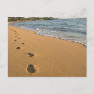 VS, Hawaï, Kauai, Kapa'a, aan het strand. RF) Briefkaart