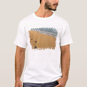 VS, Hawaï, Kauai, Kapa'a, aan het strand. RF) T-shirt