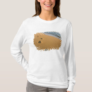 VS, Hawaï, Kauai, Kapa'a, aan het strand. T-shirt