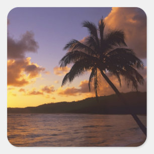 VS, Hawaï, Kauai, Kleurrijke zonsopgang in een 2 Vierkante Sticker
