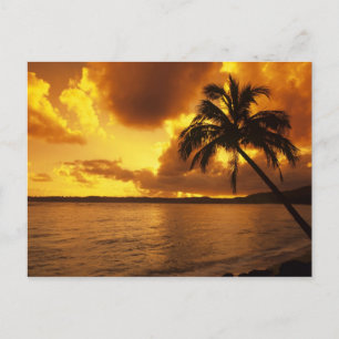 VS, Hawaï, Kauai, Kleurrijke zonsopgang in een Briefkaart