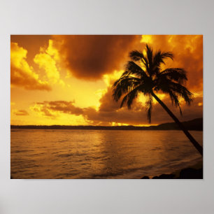 VS, Hawaï, Kauai, Kleurrijke zonsopgang in een Poster