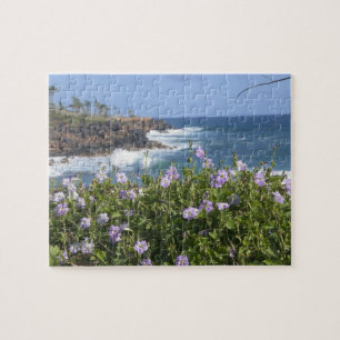 VS, Hawaï, Kauai, nabij Kapaa, noordwest Legpuzzel