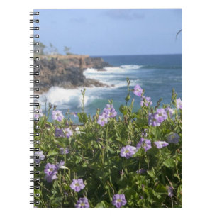 VS, Hawaï, Kauai, nabij Kapaa, noordwest Notitieboek