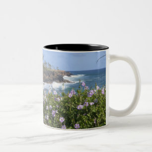 VS, Hawaï, Kauai, nabij Kapaa, noordwest Tweekleurige Koffiemok