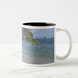 VS, Hawaï, Kauai, strand landschap. RF) Tweekleurige Koffiemok