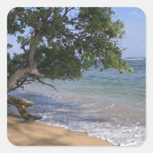 VS, Hawaï, Kauai, strand landschap. RF) Vierkante Sticker