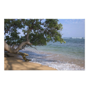 VS, Hawaï, Kauai, strand scènisch. RF) Foto Afdruk