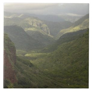 VS, Hawaï, Kauai, Uitzicht over het canyon. (RF) Tegeltje