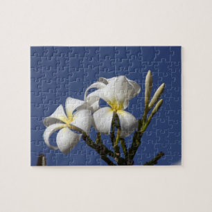 VS, Hawaï, Kauai, witte plumeria. Legpuzzel