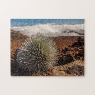 VS, Hawaï, Maui, Haleakala National Park Legpuzzel