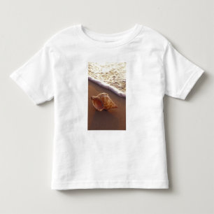 VS, Hawaï, Maui, Kihei, Avondlicht op Kinder Shirts