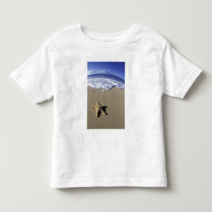 VS, Hawaï, Maui, Makena Beach, Zeester en Kinder Shirts