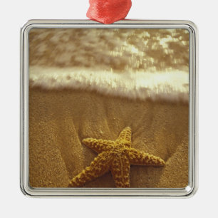 VS, Hawaï, Maui, Maui, Kihei, Zeester en Metalen Ornament