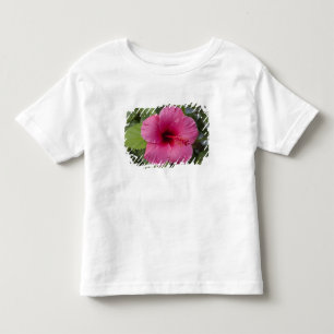 VS, Hawaï, Oahu. De Hibiscus is de 2 Kinder Shirts