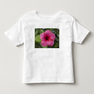 VS, Hawaï, Oahu. De hibiscus is de 2 Kinder Shirts